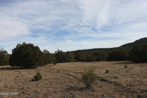 Tiny photo for 45 County Road 3035, Concho, AZ 85924 (MLS # 259082)