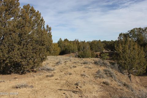 Tiny photo for 45 County Road 3035, Concho, AZ 85924 (MLS # 259082)