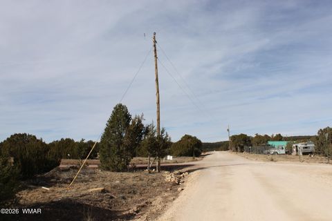 Tiny photo for 45 County Road 3035, Concho, AZ 85924 (MLS # 259082)