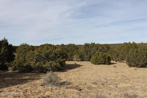 Tiny photo for 45 County Road 3035, Concho, AZ 85924 (MLS # 259082)