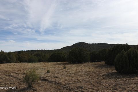 Photo of 45 County Road 3035, Concho, AZ 85924 (MLS # 259082)