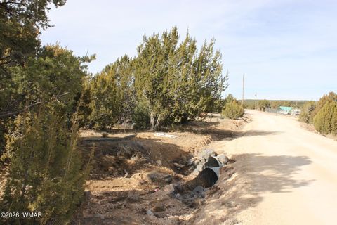 Tiny photo for 45 County Road 3035, Concho, AZ 85924 (MLS # 259082)