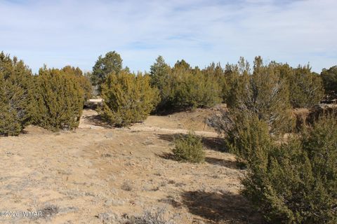 Tiny photo for 45 County Road 3035, Concho, AZ 85924 (MLS # 259082)