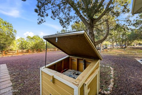 Tiny photo for 6846 Lucky Lane, Show Low, AZ 85901 (MLS # 259510)