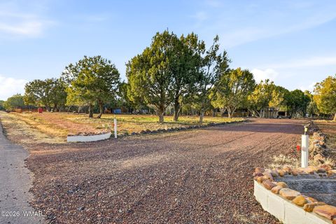 Tiny photo for 6846 Lucky Lane, Show Low, AZ 85901 (MLS # 259510)