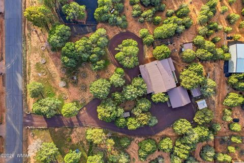 Tiny photo for 6846 Lucky Lane, Show Low, AZ 85901 (MLS # 259510)