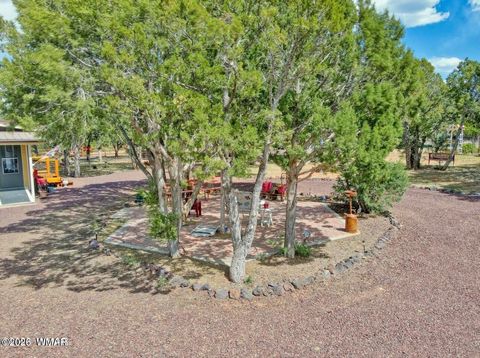 Tiny photo for 6846 Lucky Lane, Show Low, AZ 85901 (MLS # 259510)