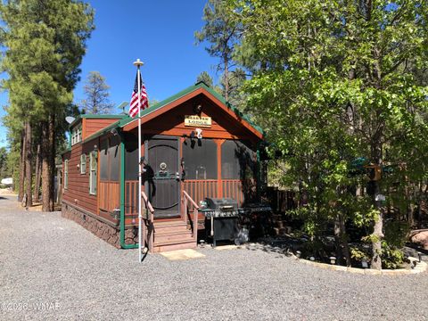 Photo of 3890 S Mule Skinner Loop, Show Low, AZ 85901 (MLS # 261009)