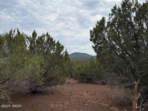 Tiny photo for TBD CR 3076-A, Vernon, AZ 85940 (MLS # 257679)