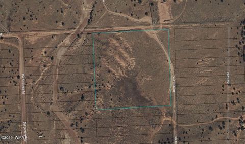 Photo of 3978 Dia Estrella Road, Snowflake, AZ 85937 (MLS # 255616)