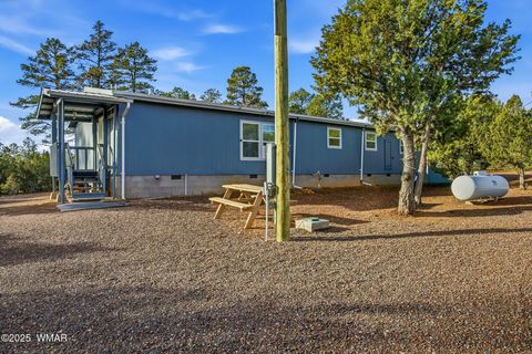 Tiny photo for 3051 State Route 277, Overgaard, AZ 85933 (MLS # 258745)