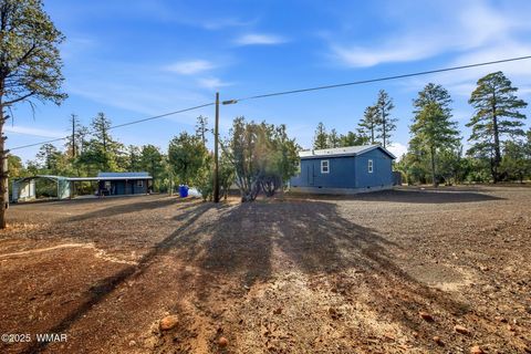 Tiny photo for 3051 State Route 277, Overgaard, AZ 85933 (MLS # 258745)
