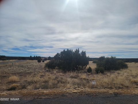 Photo of 1961 Creekside Circle, Show Low, AZ 85901 (MLS # 262216)