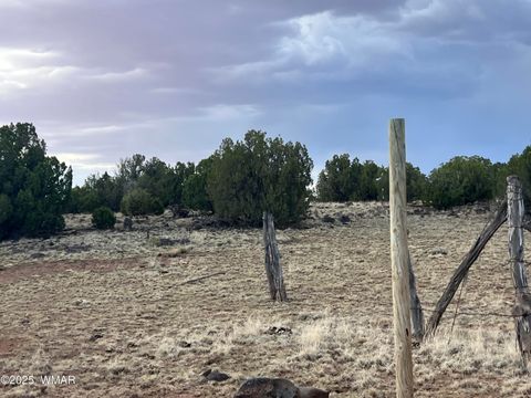 Photo of 9058 E Pinto Trail, Show Low, AZ 85901 (MLS # 258129)