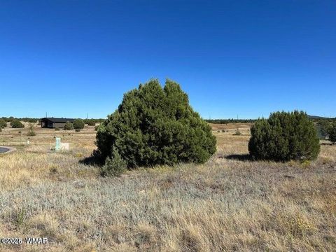 Photo of 1181 S Ridgeway Place #1B Lot 117, Show Low, AZ 85901 (MLS # 256476)