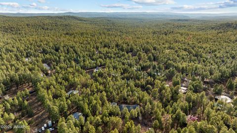 Tiny photo for 297 Fox Lane, Lakeside, AZ 85929 (MLS # 260022)