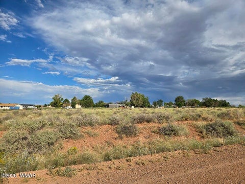 Photo of Lot 025 Cherry Blossom Lane, Snowflake, AZ 85937 (MLS # 262912)