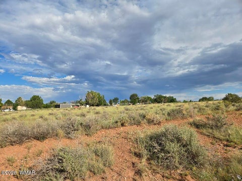 Tiny photo for Lot 025 Cherry Blossom Lane, Snowflake, AZ 85937 (MLS # 262912)