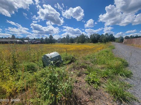 Tiny photo for 2277 Meadow Lane, Overgaard, AZ 85933 (MLS # 241293)