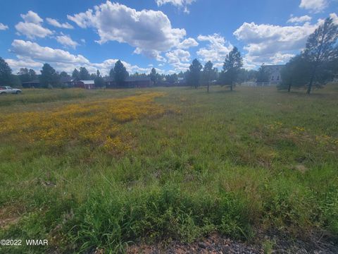 Tiny photo for 2277 Meadow Lane, Overgaard, AZ 85933 (MLS # 241293)