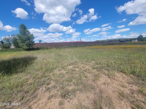 Tiny photo for 2277 Meadow Lane, Overgaard, AZ 85933 (MLS # 241293)