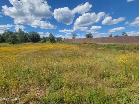 Tiny photo for 2277 Meadow Lane, Overgaard, AZ 85933 (MLS # 241293)