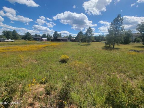 Tiny photo for 2277 Meadow Lane, Overgaard, AZ 85933 (MLS # 241293)