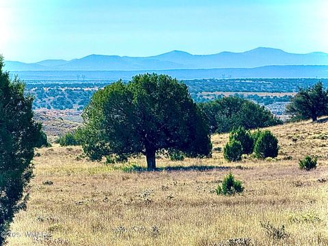 Tiny photo for 228 County Rd N9328, Concho, AZ 85924 (MLS # 258871)