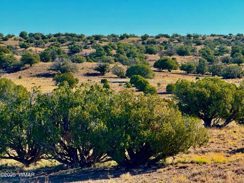 Tiny photo for 228 County Rd N9328, Concho, AZ 85924 (MLS # 258871)