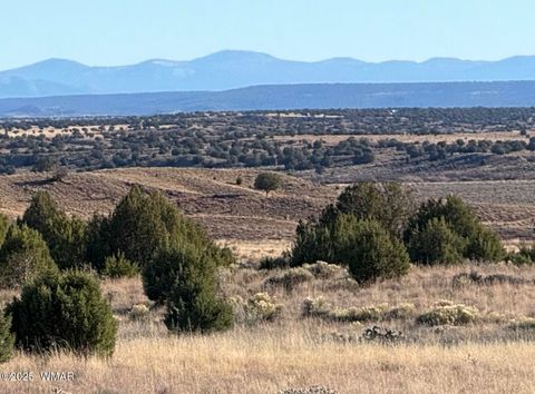 Tiny photo for 228 County Rd N9328, Concho, AZ 85924 (MLS # 258871)