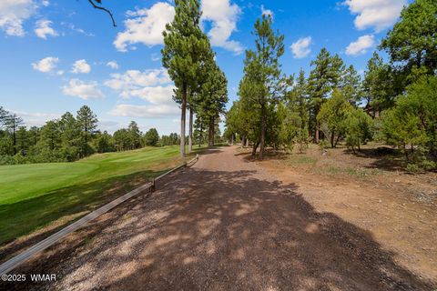 Tiny photo for 200 N Sorrel Court, Show Low, AZ 85901 (MLS # 260210)