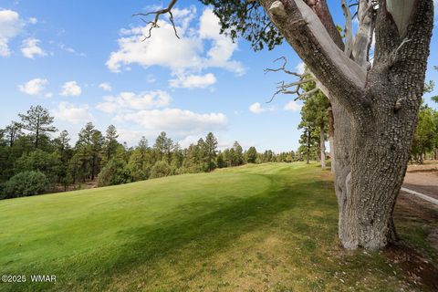 Tiny photo for 200 N Sorrel Court, Show Low, AZ 85901 (MLS # 260210)