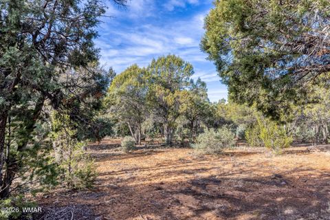 Tiny photo for 1280 N Fairway Lane, Show Low, AZ 85901 (MLS # 259685)