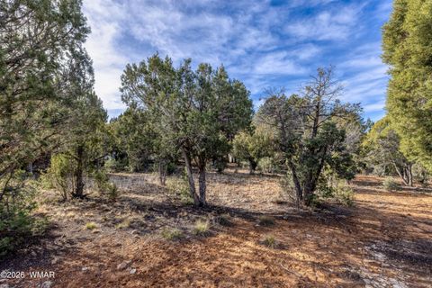 Tiny photo for 1280 N Fairway Lane, Show Low, AZ 85901 (MLS # 259685)
