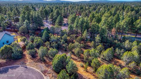 Tiny photo for 1280 N Fairway Lane, Show Low, AZ 85901 (MLS # 259685)