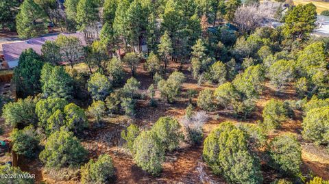 Tiny photo for 1280 N Fairway Lane, Show Low, AZ 85901 (MLS # 259685)