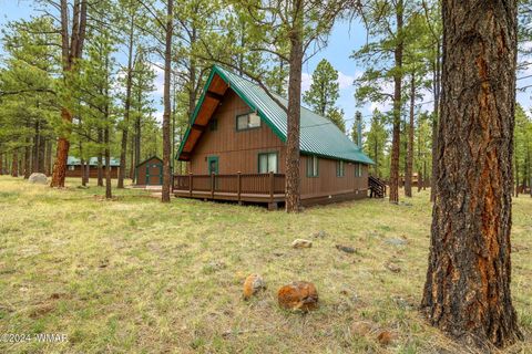 Tiny photo for 10 Acr 1030, Greer, AZ 85927 (MLS # 255119)