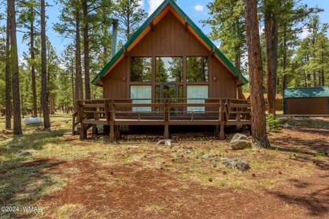 Tiny photo for 10 Acr 1030, Greer, AZ 85927 (MLS # 255119)