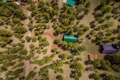 Tiny photo for 10 Acr 1030, Greer, AZ 85927 (MLS # 255119)