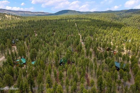Tiny photo for 10 Acr 1030, Greer, AZ 85927 (MLS # 255119)