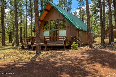 Photo of 10 Acr 1030, Greer, AZ 85927 (MLS # 255119)