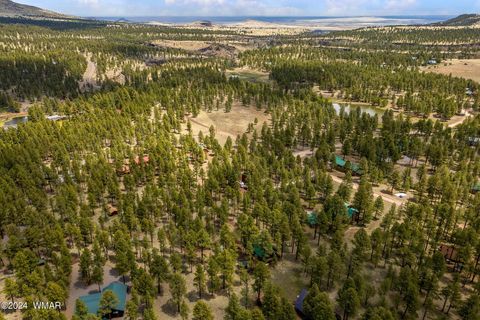Tiny photo for 10 Acr 1030, Greer, AZ 85927 (MLS # 255119)