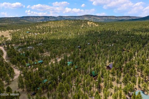Tiny photo for 10 Acr 1030, Greer, AZ 85927 (MLS # 255119)