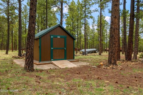 Tiny photo for 10 Acr 1030, Greer, AZ 85927 (MLS # 255119)