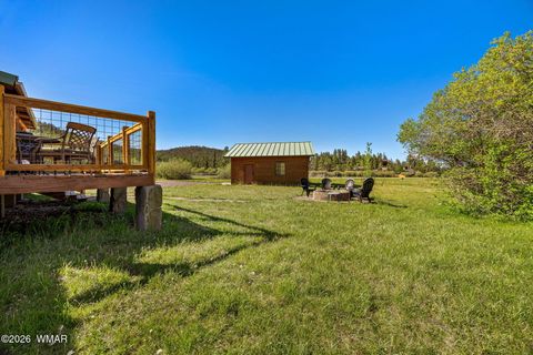 Tiny photo for 4 N 1314, Greer, AZ 85927 (MLS # 261260)