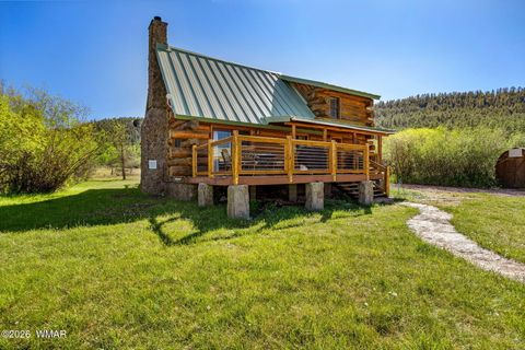Tiny photo for 4 N 1314, Greer, AZ 85927 (MLS # 261260)