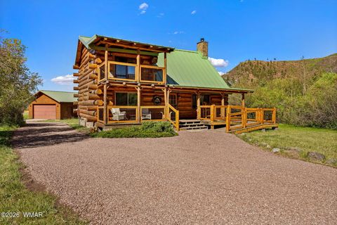 Photo of 4 N 1314, Greer, AZ 85927 (MLS # 261260)