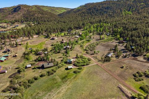 Tiny photo for 4 N 1314, Greer, AZ 85927 (MLS # 261260)