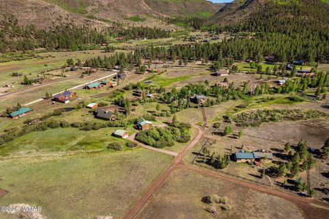 Tiny photo for 4 N 1314, Greer, AZ 85927 (MLS # 261260)