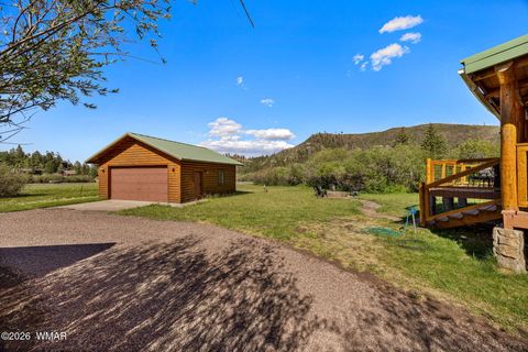 Tiny photo for 4 N 1314, Greer, AZ 85927 (MLS # 261260)